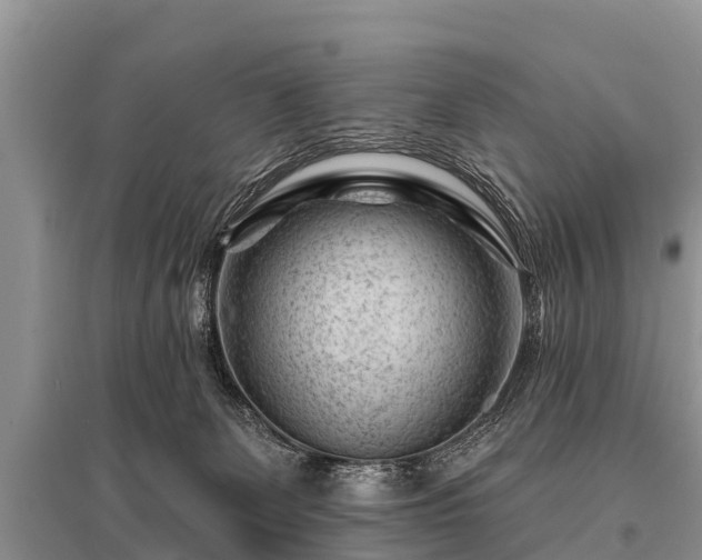 X0000096190131200801251249