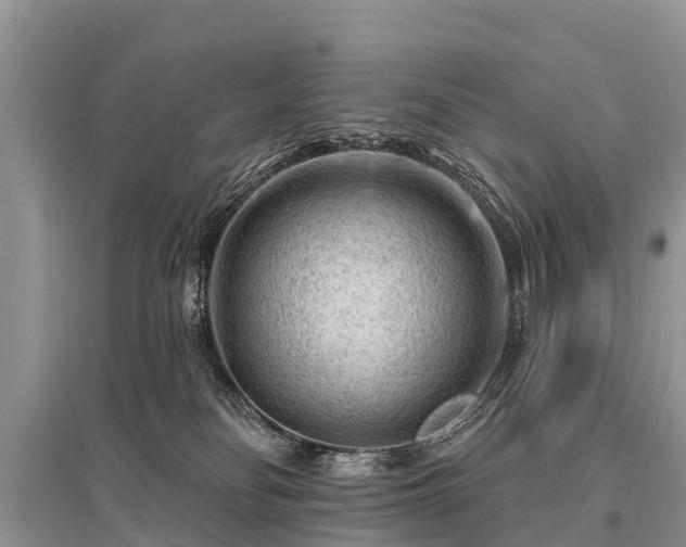 X0000096190134200801251249