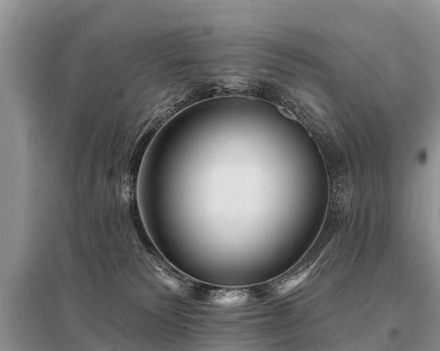 X0000096190135200801251249