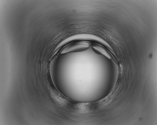 X0000096190136200801251249