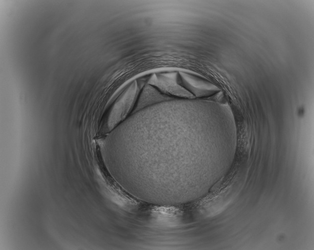 X0000096190137200801251249