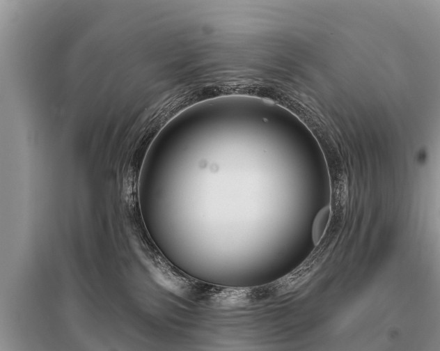 X0000096190138200801251249