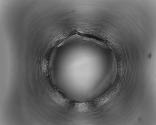 X0000096190139200801251249