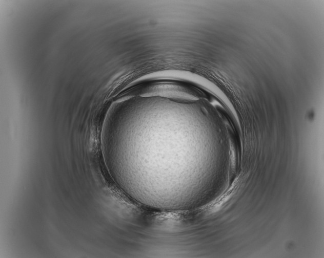X0000096190140200801251249