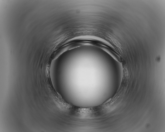 X0000096190141200801251249