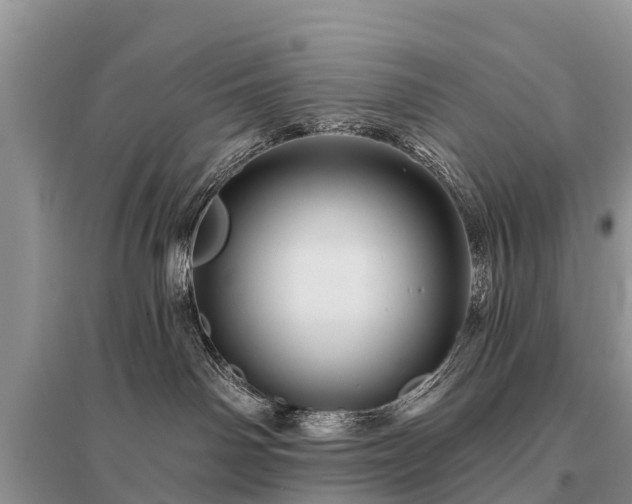 X0000096190142200801251249