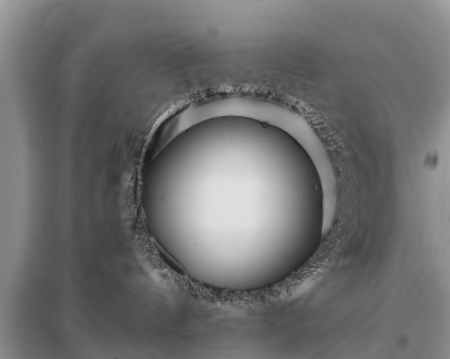 X0000096190144200801251249