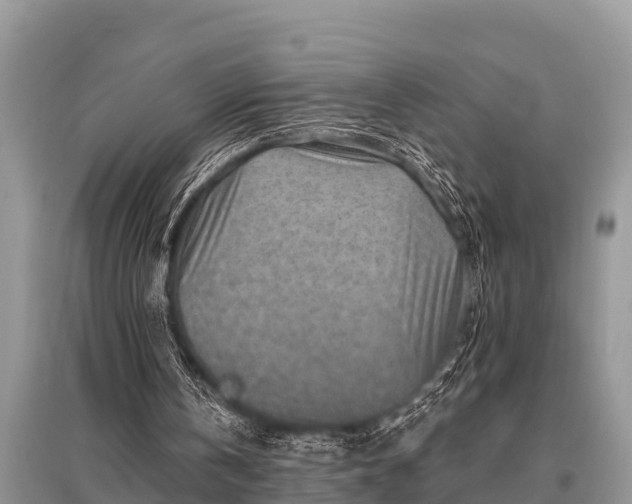 X0000096190146200801251248