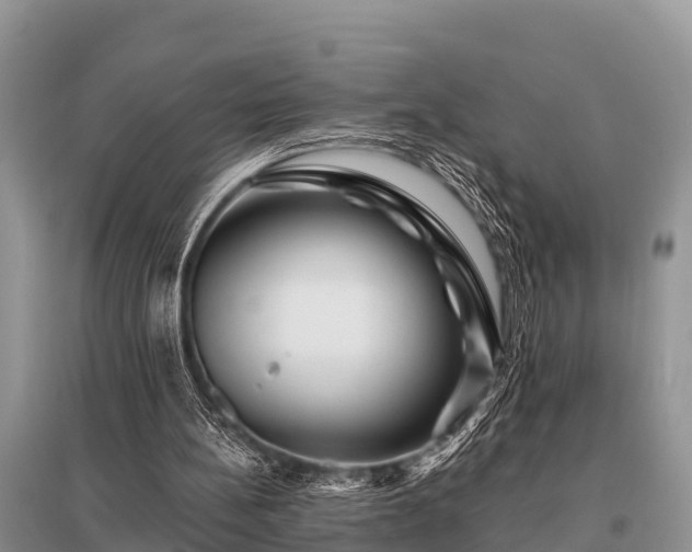 X0000096190148200801251248