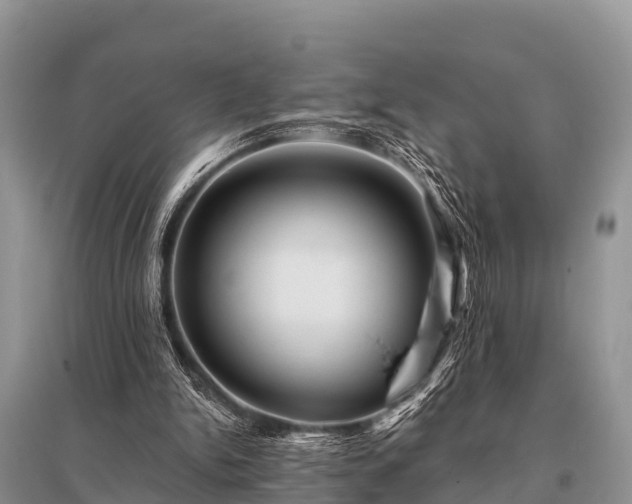 X0000096190150200801251248