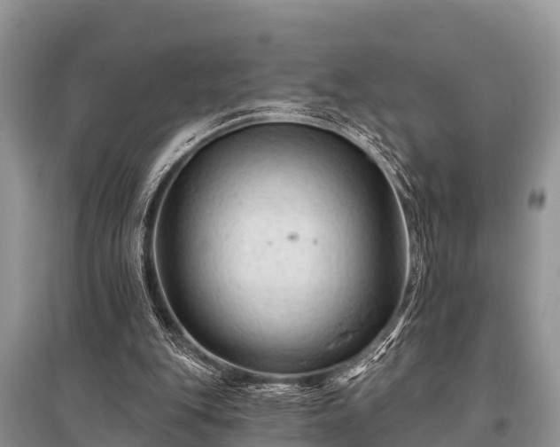 X0000096190151200801251248