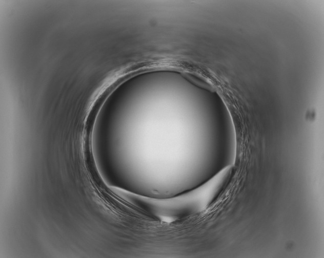 X0000096190152200801251248