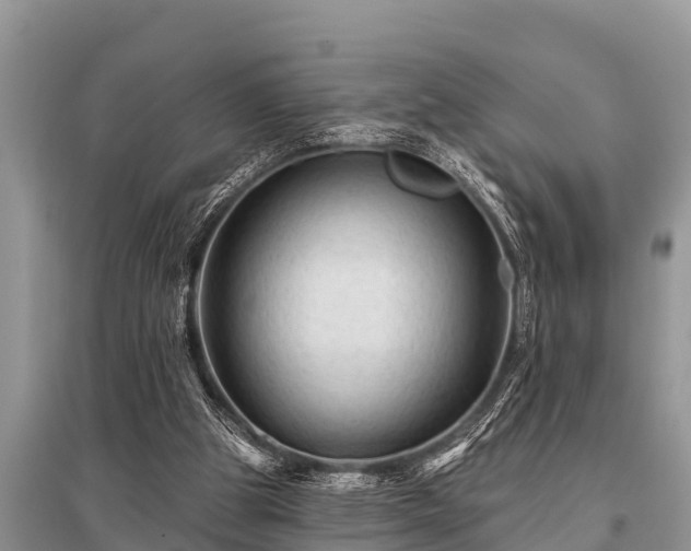 X0000096190153200801251248
