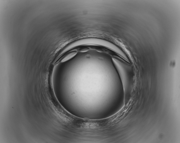 X0000096190154200801251248