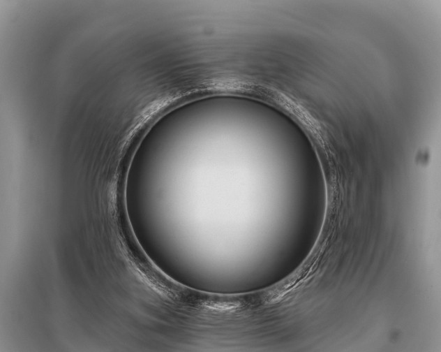 X0000096190155200801251248