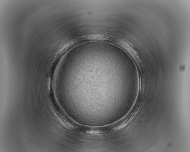 X0000096190157200801251248