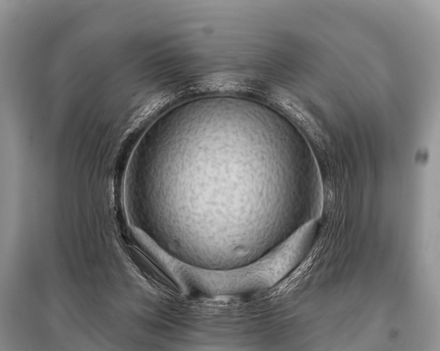 X0000096190158200801251248