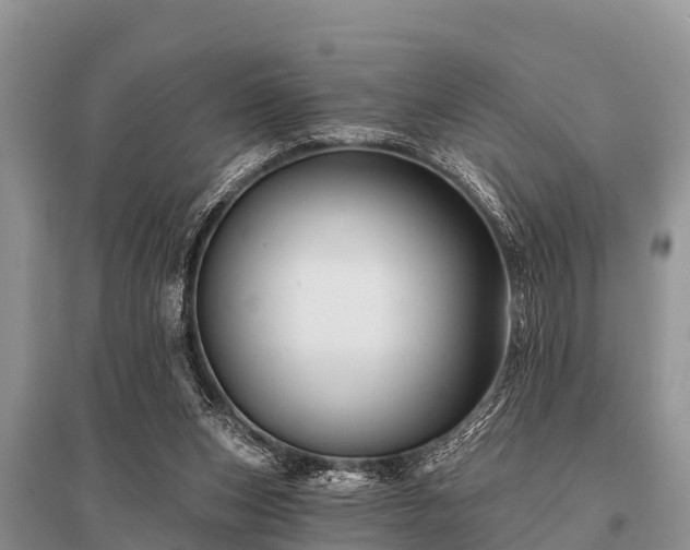 X0000096190159200801251248