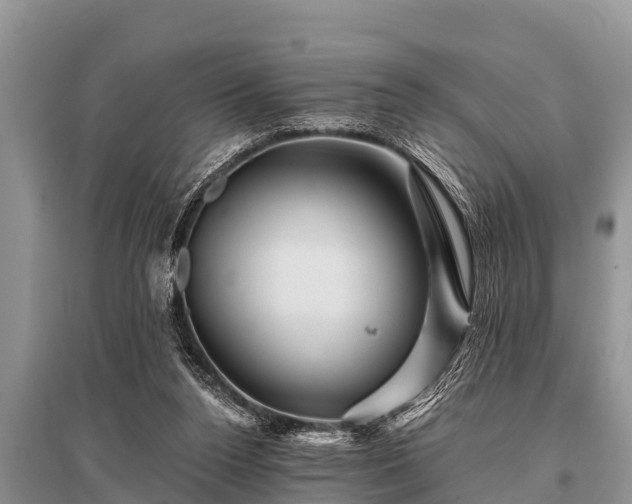 X0000096190160200801251249