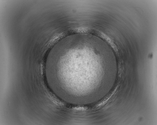 X0000096190161200801251249