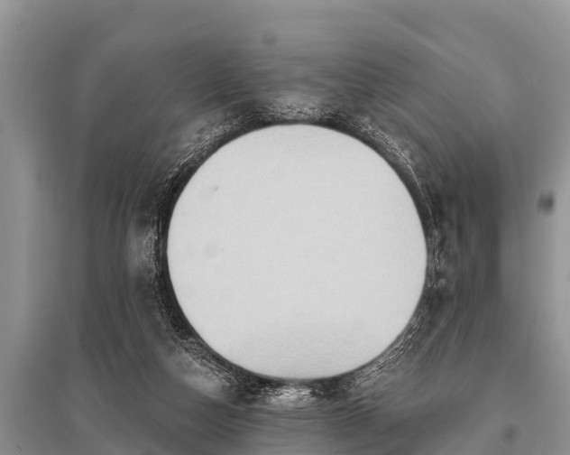 X0000096190162200801251249