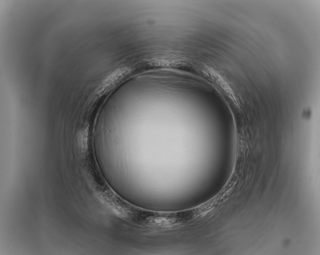 X0000096190163200801251249
