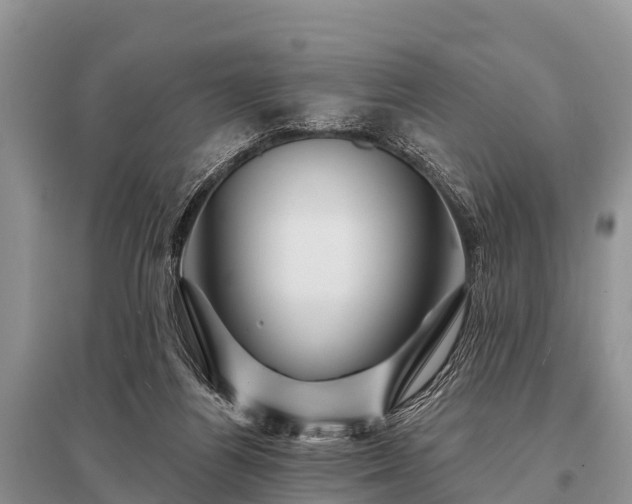 X0000096190164200801251249