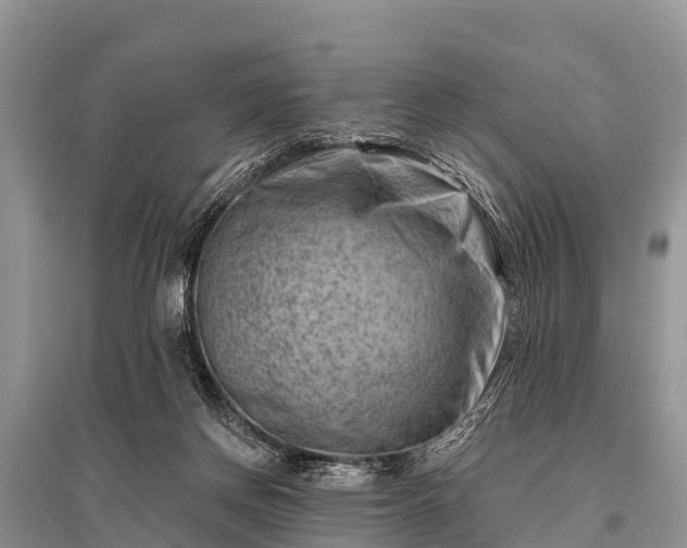 X0000096190166200801251249