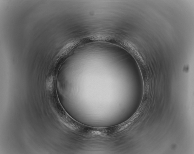 X0000096190167200801251249