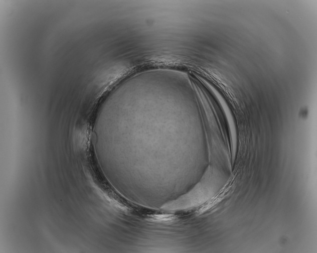 X0000096190168200801251249