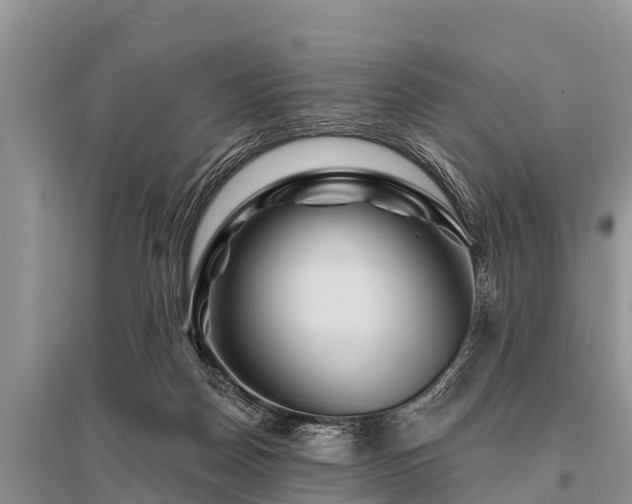 X0000096190170200801251249