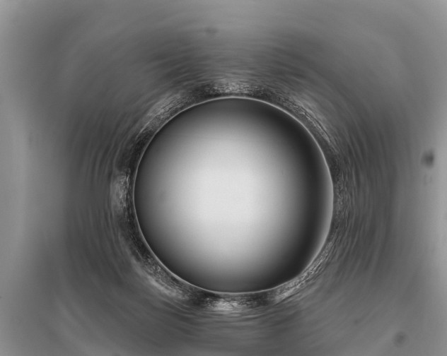 X0000096190171200801251249