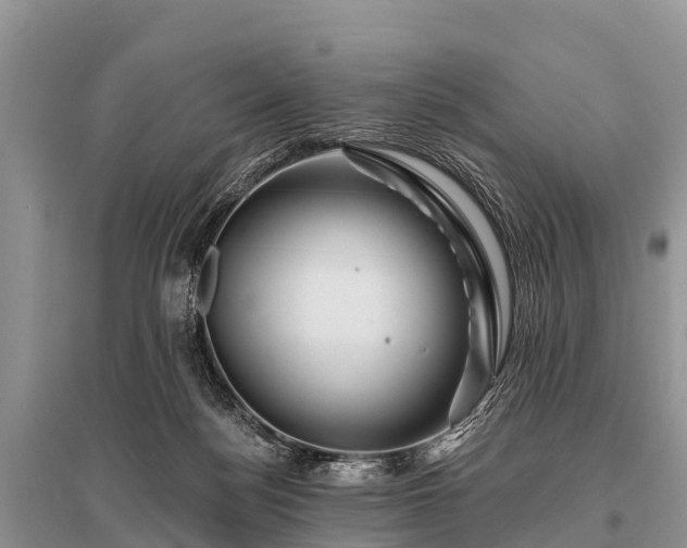 X0000096190172200801251249