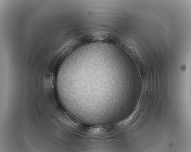 X0000096190174200801251249
