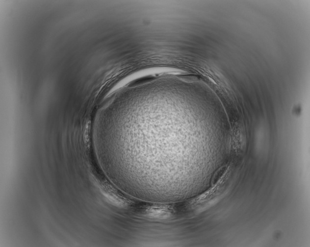 X0000096190175200801251249