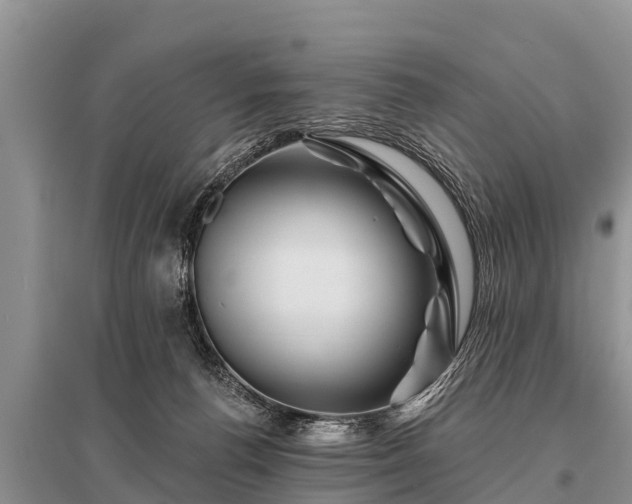 X0000096190176200801251249