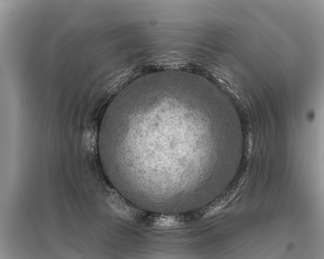 X0000096190177200801251249
