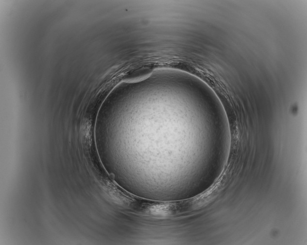 X0000096190178200801251249