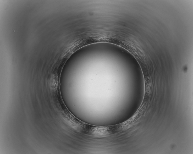 X0000096190179200801251249