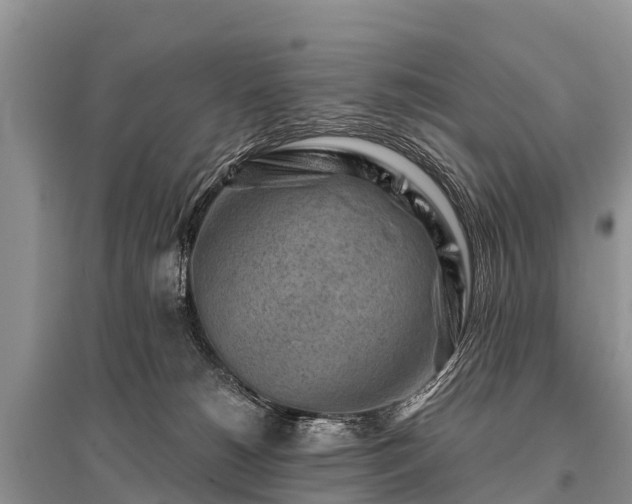 X0000096190180200801251249