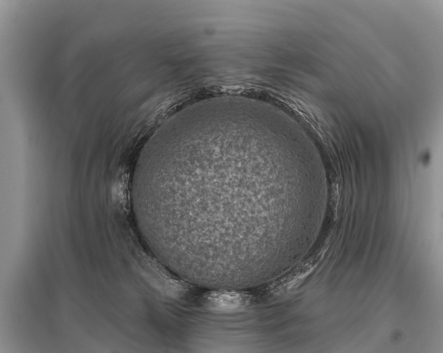 X0000096190181200801251249