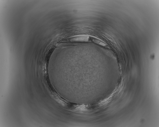 X0000096190182200801251249