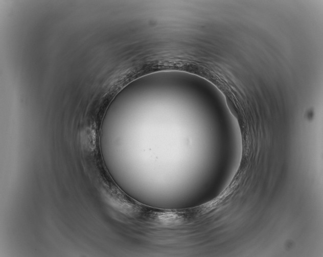 X0000096190183200801251249