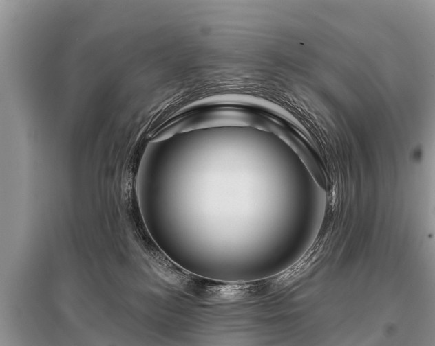 X0000096190184200801251249