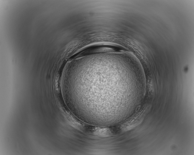 X0000096190185200801251249