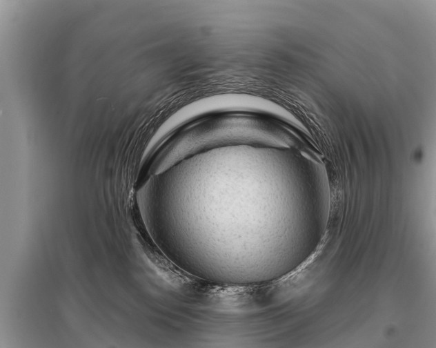 X0000096190186200801251249