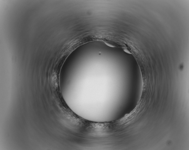 X0000096190187200801251249