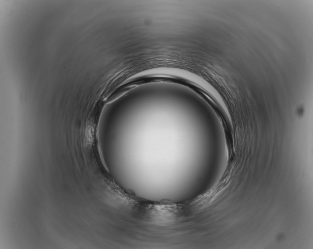 X0000096190188200801251249