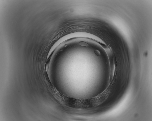 X0000096190190200801251249