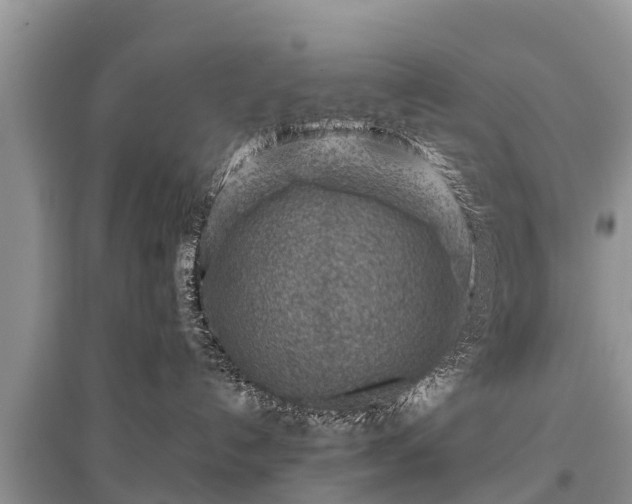 X0000096190192200801251249